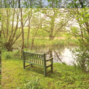 Cream Tea Sunday at Withymead Nature Reserve @ Withymead Nature Reserve